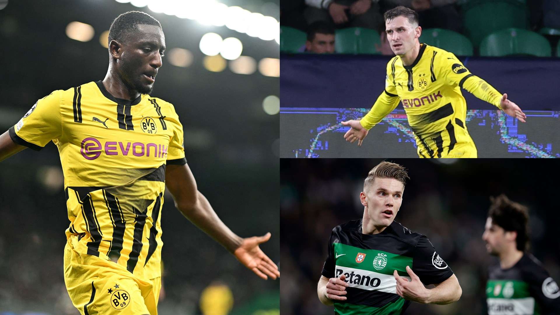 更是一种发 更是一种发